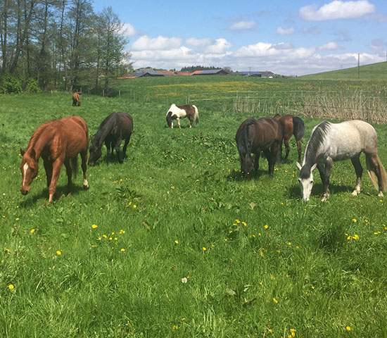 %_tempFileNameIMG_0796%