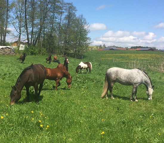 %_tempFileNameIMG_0799%