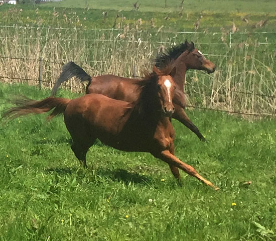 %_tempFileNameIMG_0801%