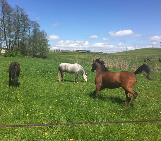 %_tempFileNameIMG_0802%