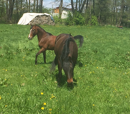 %_tempFileNameIMG_0807%