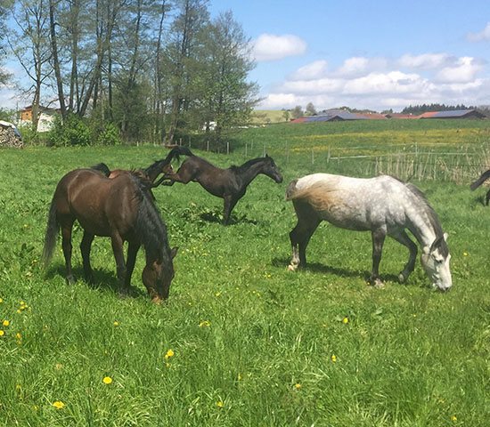 %_tempFileNameIMG_0811%