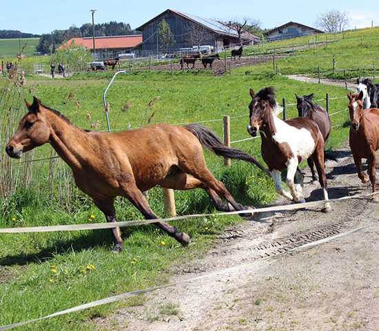 %_tempFileNameIMG_0850%