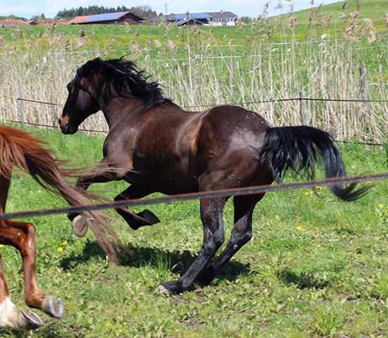 %_tempFileNameIMG_0854%