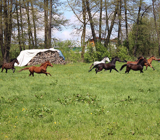 %_tempFileNameIMG_0856%