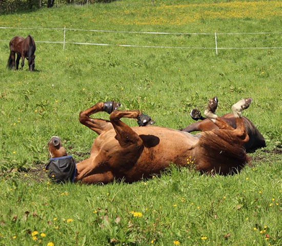 %_tempFileNameIMG_0860%