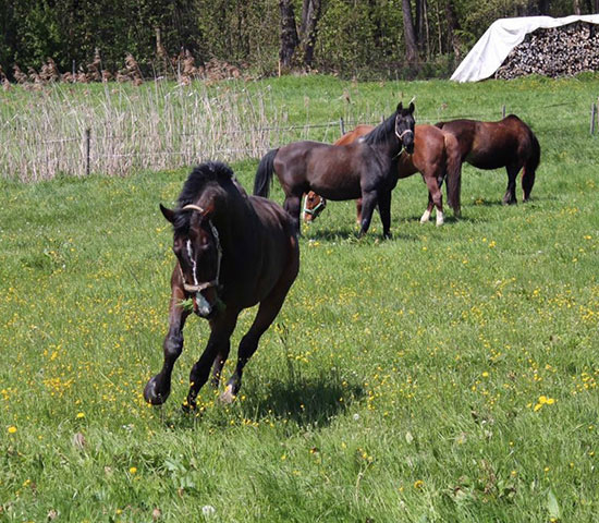 %_tempFileNameIMG_0862%