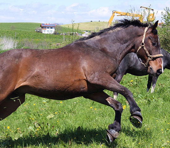 %_tempFileNameIMG_0863%